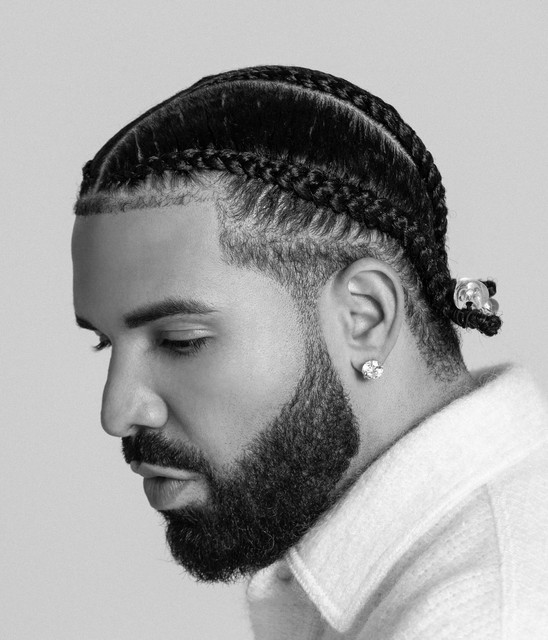 Drake artist portrait