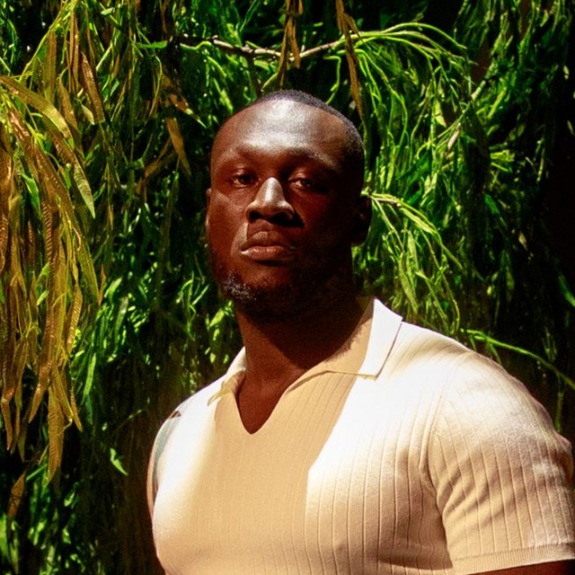 Stormzy artist portrait